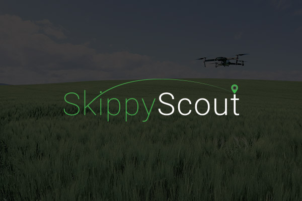 Open field with the words Skippy Scout written in green.